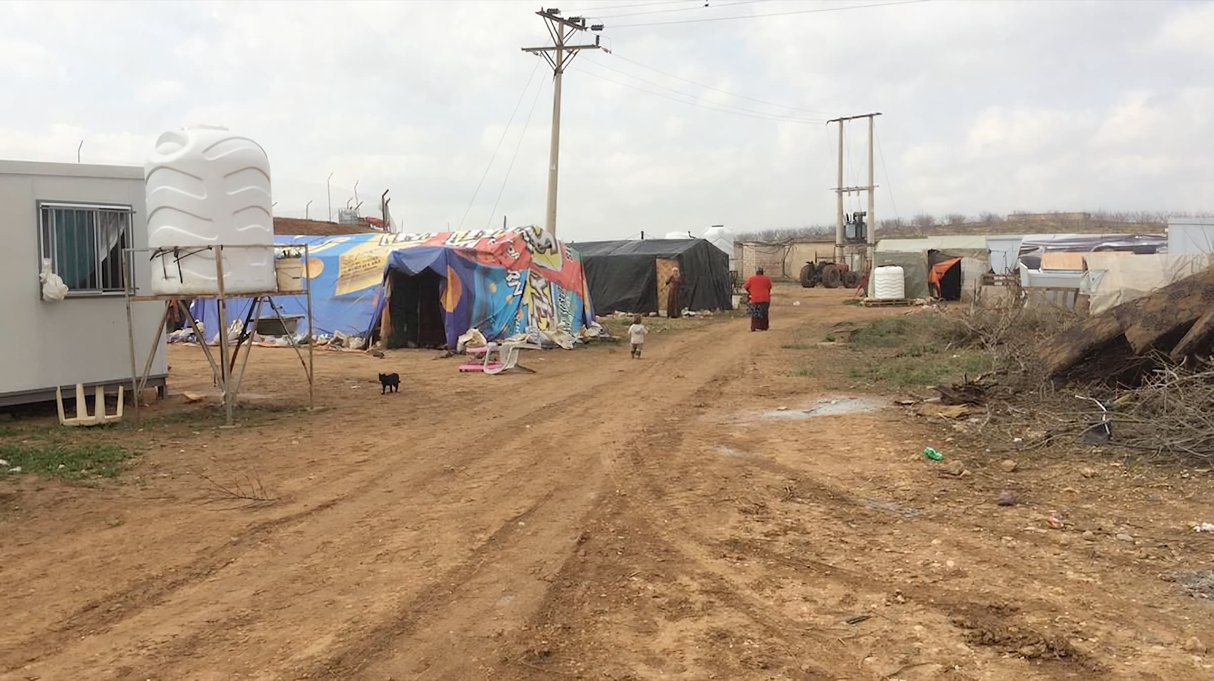 Wood For Refugee Warmth