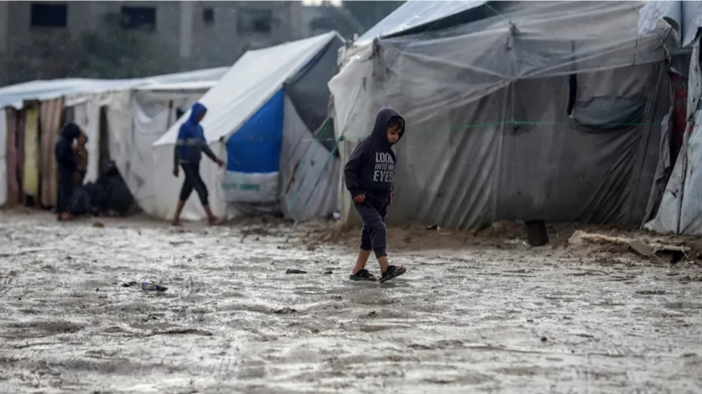 Nourish Gaza: Winter Food Distribution Initiative